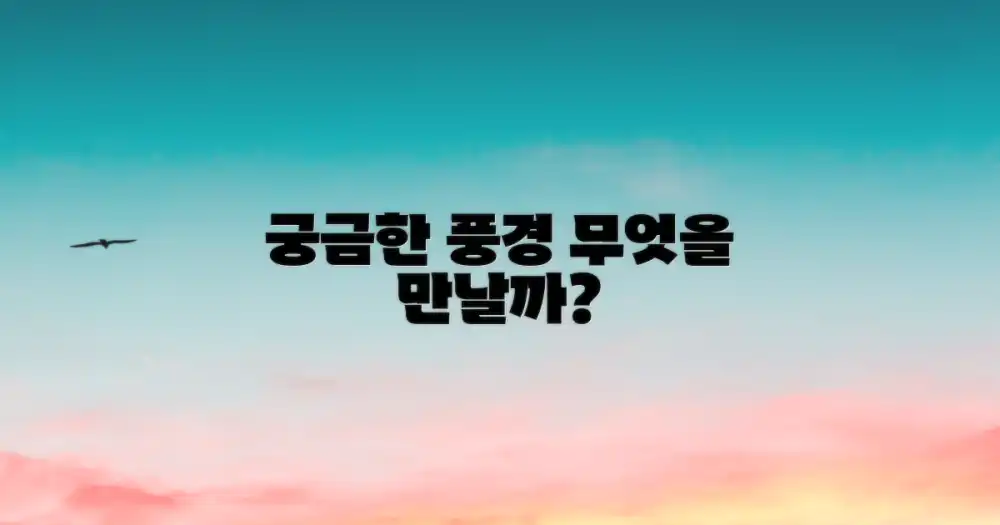 어떤 풍경이 기다릴까?